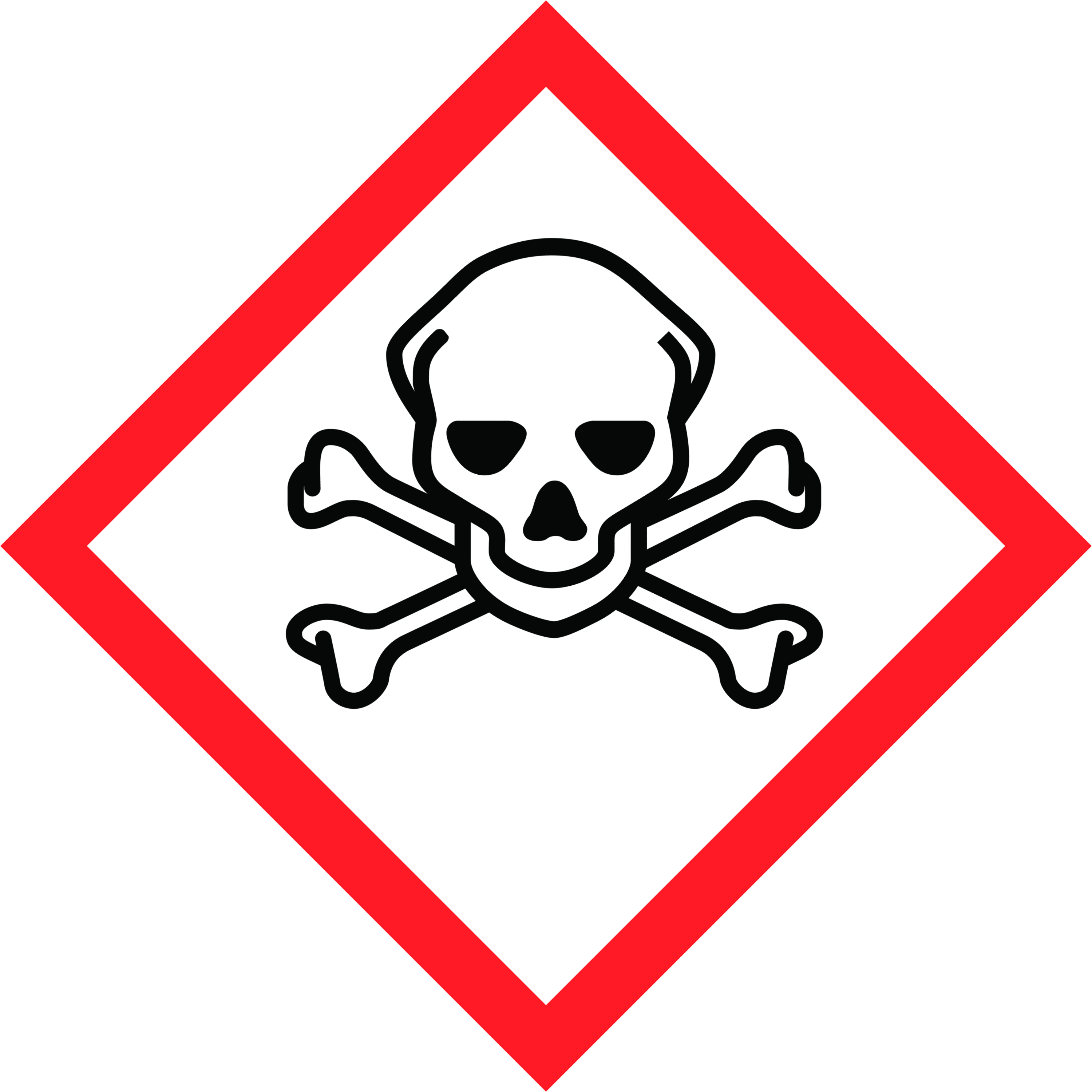 GHS06 Pictogram: Toxic